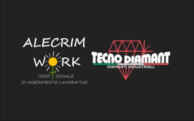 Tecno Diamant collabora con Alecrim Work