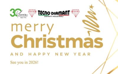 🎄 Chiusura aziendale per le festività natalizie 🎄